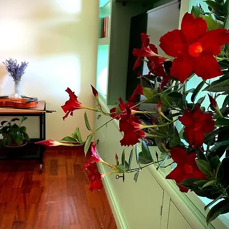 Apartman Casa Di Giulia Bologna