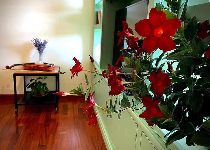 Apartman Casa Di Giulia Bologna